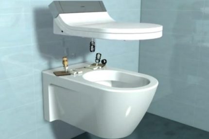 Bidetafdekking voor toilet Installatie van de hoes is vrij eenvoudig