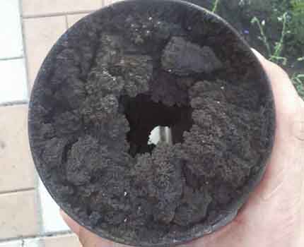 Ang mga deposito ng soot sa mga dingding ng tsimenea Ang mga deposito ng soot sa mga dingding ng tsimenea