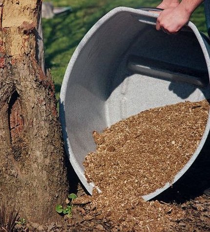 The use of peat as a heater of the root system The use of peat as a heater of the root system
