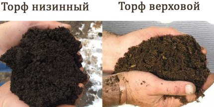 Difference between lowland peat and highland Difference between lowland peat and highland