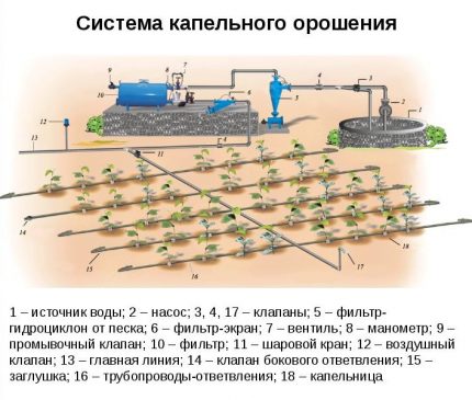 Schéma du système d'irrigation goutte à goutte Schéma du système d'irrigation goutte à goutte