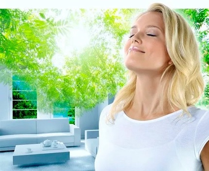 Why you need a humidifier and an air purifier Fresh air