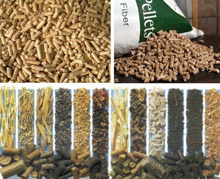 Iba't ibang mga lahi ng pellet Iba't ibang uri ng mga butil