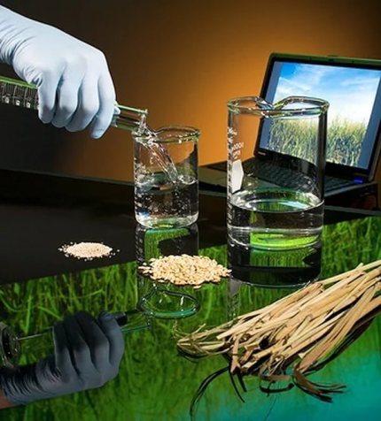 Bezpečnost bioethanolu Bezpečnost bioethanolu