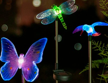 Decorative lights Decorative lights