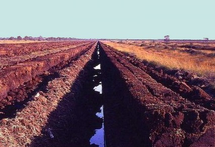 Peat extraction in the swamps Peat extraction in the swamps