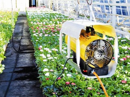 Ventilador térmico na estufa Ventilador térmico na estufa