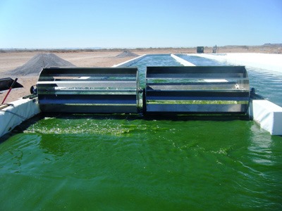 The production of biohydrogen from algae The production of biohydrogen from algae