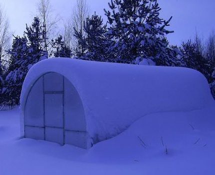 Snow as a thermal insulation of a greenhouse preserved for the winter Greenhouse covered in snow