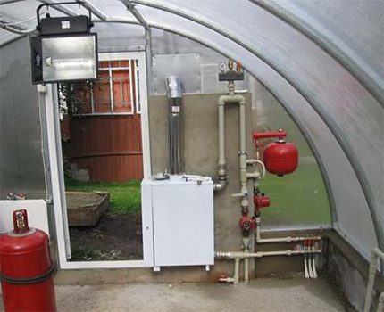 How to do your own heating a greenhouse with washing from a gas cylinder Gas boiler for heating the greenhouse