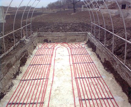 Laying a heating cable for heating the greenhouse in winter Laying the heating cable for the greenhouse