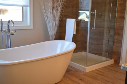 Ang isang shower ay maaaring mai-install sa tabi ng banyo Mga umiiral na uri ng bathtubs