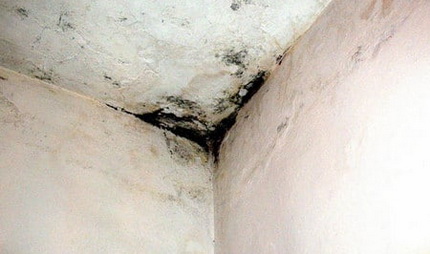 Le manque d'étanchéité dans la salle de bain au dernier étage Imperméabilisation de salle de bain
