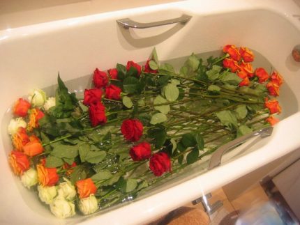 Ang paggamit ng mga bathtubs para sa iba't ibang mga layunin Ang paggamit ng mga bathtubs para sa iba't ibang mga layunin