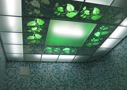 Ceiling option for placing fixtures in the bathroom Light panel