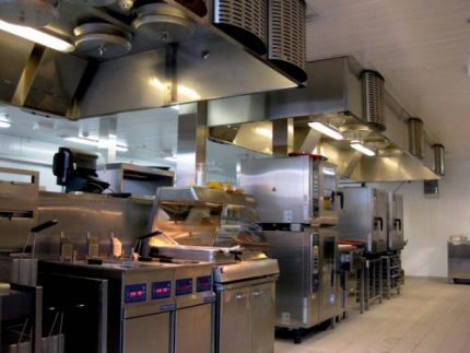 Guarda-chuvas de ventilação de exaustão na indústria de alimentos Capuz industrial