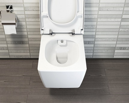 Toilet bidet without flush rim Toilet bidet without flush rim