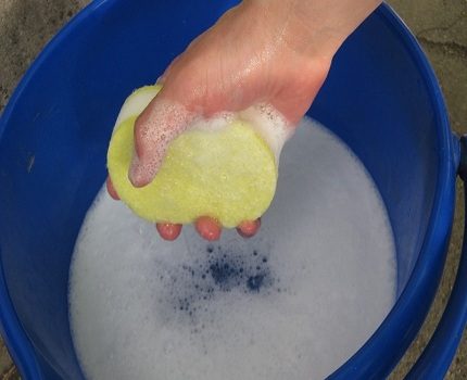 Soap solution Soap solution