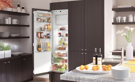 Certains modèles s'intègrent parfaitement dans les meubles Réfrigérateur à une chambre avec congélateur