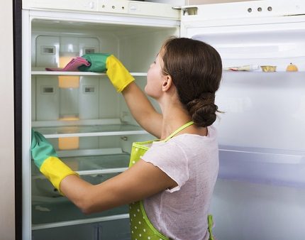 Defrosting a refrigerator without a freezer Defrosting a refrigerator without a freezer