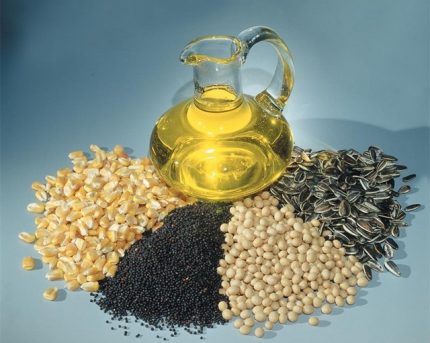 The initial components in the manufacture of biofuels for the fireplace Making biodiesel