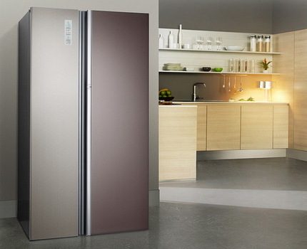 Kabilang sa mga modelo ng kumpanya ay may mga yunit na may lateral freezer Dalawang pintuan ng refrigerator Don