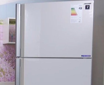Massive Technologie nur für geräumige Räume geeignet Kühlschrank Sharp SJ-XE55PMBE