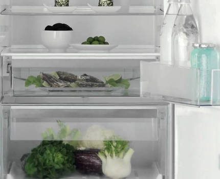 Lors du choix, vous devez tenir compte de la taille de la famille L'intérieur du réfrigérateur Electrolux