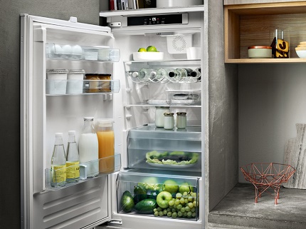 Réfrigérateur suédois design compact Réfrigérateur compact pour chalet d'été