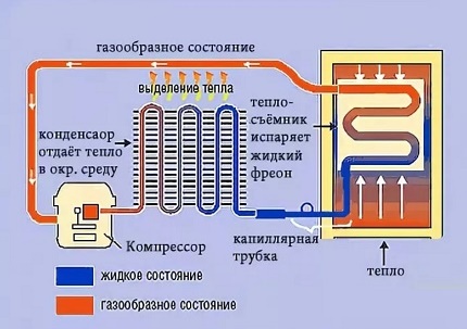Kompressionskühlschrank Layout