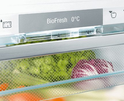 Zusätzliche Modi bieten noch mehr Speicheroptionen für verschiedene Produkte. BioFresh-Funktion im Liebher-Kühlschrank