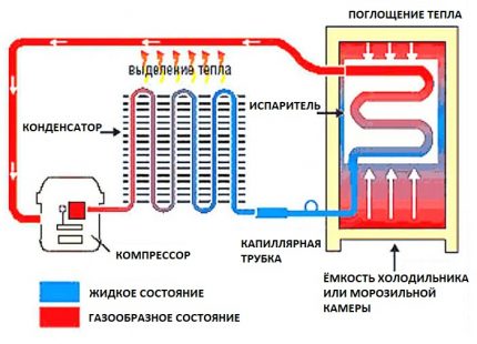 Schematische Darstellung des Kühlschranks