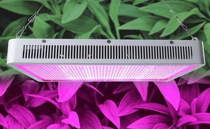 หลอด UV เพื่อกระตุ้นการเจริญเติบโตของพืช หลอด UV สำหรับพืช