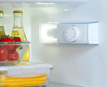 Ang freezer ay may maayos na dinisenyo na interior Freezer