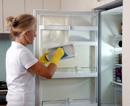 Ang yunit ay may mga lalagyan para sa pagkolekta ng mga droplet na dumadaloy sa dingding Defrosting ang ref