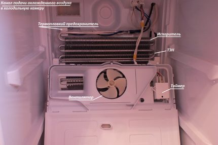 Position der Hauptkomponenten des Indesit-Kühlschranks Das Gerät des Kühlschranks Indesit