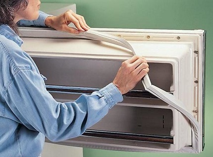 Dichtkreis am Kühlschrank austauschen Dichtkreis am Kühlschrank austauschen