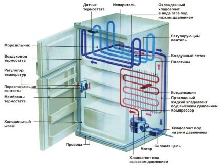 Das Gerät des Kühlschranks Stinol Verdunstungskühlschrank Diagramm