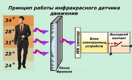 חיישן תנועה IR חיישן תנועה IR