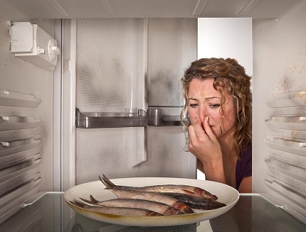 Der Geruch von Fisch im Kühlschrank Offene Lagerung von Produkten mit einem bestimmten Aroma im Kühlschrank