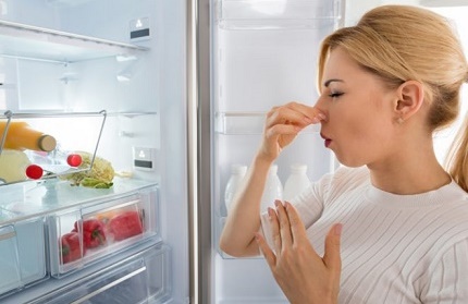Lebensmittelverderb im Kühlschrank Lebensmittelverderb bei niedrigen Temperaturen