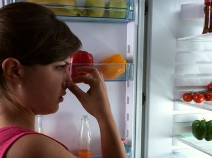 Wall plastic is susceptible to various odors. The smell of the refrigerator