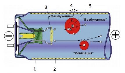 Fluorescent lamp structure Fluorescent lamp structure