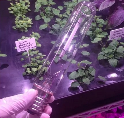 Sodium metal halide lamp Sodium metal halide lamp