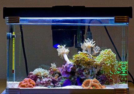Pour les zones humides, choisissez des produits avec un degré de protection approprié Rétro-éclairage d'aquarium