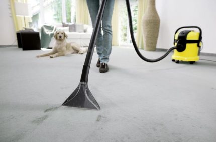 Vacuum cleaner removes traces from the carpet