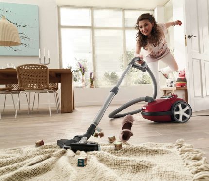 Dry Vacuum Cleaner Philips fc 9174 Cleaning the house