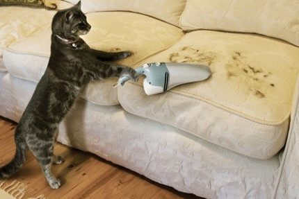 Wool collection will require a more powerful suction force. Cleaning wool from the sofa