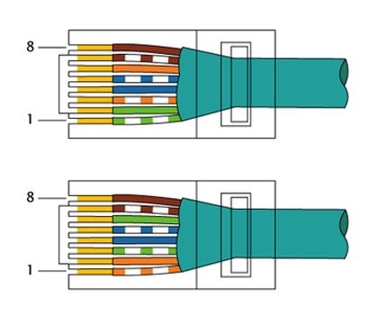 Normes de coloration T568A et T568V Couleur de base du connecteur Standard