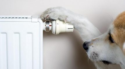 Réglage de la température du radiateur avec une tête thermique Tête avec capteur à distance